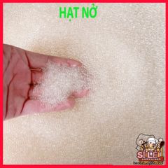 Hạt Nở Nhật Bản Trong Suốt - Nguyên Liệu Làm Slime & Trang Trí Cây Cảnh, Kèm Màu Nước Sáng Tạo Thú Vị