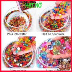 Bộ 1000 Hạt Nở Giữ Nước Cho Cây Cảnh - Trang Trí Chậu Hoa Slime Slam, Hỗ Trợ Tưới Cây và Tạo Điểm Nhấn Độc Đáo Cho Không Gian Sống