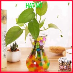 Bộ 1000 Hạt Nở Giữ Nước Cho Cây Cảnh - Trang Trí Chậu Hoa Slime Slam, Hỗ Trợ Tưới Cây và Tạo Điểm Nhấn Độc Đáo Cho Không Gian Sống
