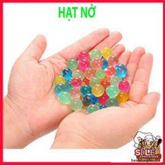 Bộ 1000 Hạt Nở Giữ Nước Cho Cây Cảnh - Trang Trí Chậu Hoa Slime Slam, Hỗ Trợ Tưới Cây và Tạo Điểm Nhấn Độc Đáo Cho Không Gian Sống