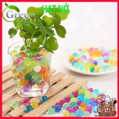 Gói 1000 Viên Hạt Tinh Thể Nở Màu Sắc - Trang Trí Lọ Hoa Sinh Động, Trồng Cây Thân Thiện Với Môi Trường