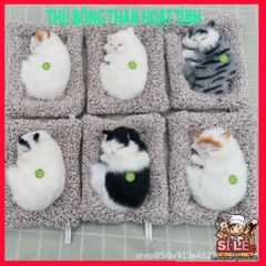 Thú Bông Khử Mùi Lõi Than Hoạt Tính Trang Trí Ô Tô - Bạn Đồng Hành Dễ Thương Giảm Căng Thẳng, Quà Tặng Ý Nghĩa Cho Dân Yêu Động Vật