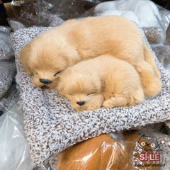 Chó Bông Dễ Thương với Than Hoạt Tính (Size 20-28cm) - Khử Mùi Hiệu Quả Cho Xe Hơi - Đồ Chơi Thú Cưng Đáng Yêu