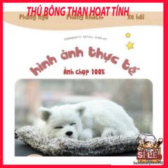 Thú Bông Khử Mùi Than Hoạt Tính Hình Chó Mèo Gấu Sói - Trang Trí Ô Tô Đáng Yêu, Giải Pháp Sống Trong Lành Cho PET