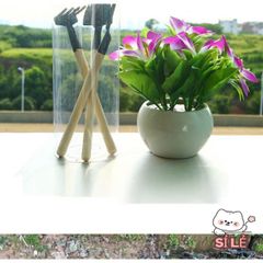 Bộ Dụng Cụ Làm Vườn Mini 3 Món - Xẻng, Cào Đất, Cây Ba Chia - Dụng Cụ Hoàn Hảo Cho Tín Đồ Yêu Cây Cảnh Tại Nhà