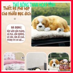 Thú Bông Khử Mùi Ô Tô Hình Chó Mèo Sói Gấu 99% Giống Thật - Lõi Than Hoạt Tính Lọc Khí, Phụ Kiện Cao Cấp Trang Trí Xe
