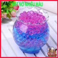 Hạt Nở Tinh Thể Thủy Sinh 20G - Trang Trí Hoa Thủy Sinh Đẹp, Không Đất, Mộc Mạc, Dễ Dàng Sử Dụng, Tạo Không Gian Xanh Mát