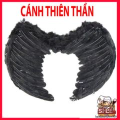 Cánh Ma Quỷ Cosplay Đen Trắng - Cánh Lông Vũ Dễ Thương Cho Lễ Hội Hóa Trang Halloween, Trang Phục Thời Trang Ấn Tượng