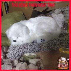 Thú Bông CÚN BÔNG TRẮNG Khử Mùi - Mềm Mại, Thiết Kế Dễ Thương, Lõi Than Hoạt Tính Cho Xe Ô Tô và Taplo