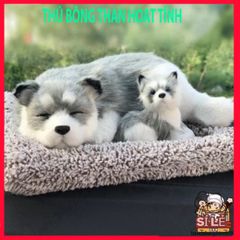 Phụ Kiện Trang Trí Ô Tô Hình Chú Chó Dễ Thương - Sản Phẩm Than Tre Hoạt Tính Thêm Độc Đáo Cho Xe Của Bạn