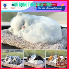 Gấu Bông Khử Mùi Than Hoạt Tính - Đồ Trang Trí Ô Tô Dễ Thương, Lọc Không Khí và An Toàn Cho Sức Khỏe
