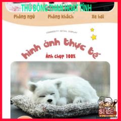 Gấu Bông Khử Mùi Than Hoạt Tính - Phụ Kiện Trang Trí Xe Hơi Dễ Thương, Thoáng Mát, Kích Thước Nhỏ Gọn 18x14cm