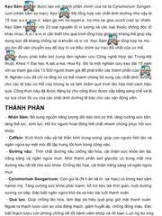 (Fullbox) Combo 10 Viên Kẹo Sâm Vàng Spinach Malaysia Hỗ Trợ Tăng Cường Sức Khỏe - Viên Cứng Dinh Dưỡng cho Cơ Thể Khỏe Mạnh Chính hãng