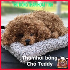 Thú Bông Lõi Than Hoạt Tính Khử Mùi - Đồ Trang Trí Ô Tô và Văn Phòng Dễ Thương, Kháng Khuẩn và Lọc Không Khí