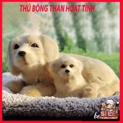 Thú Bông Khử Mùi Chó Vàng Lông Mượt - Than Hoạt Tính Lọc Không Khí Kèm Đồ Trang Trí Ô Tô Dễ Thương