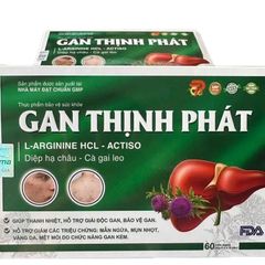 Viên Uống Bổ Gan Thịnh Phát - Giải Pháp Thanh Lọc Gan Từ Cà Gai Leo & Diệp Hạ Châu, Hộp 60 Viên Nang Cứng