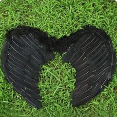 Cánh Thiên Thần Hóa Trang Đen Trắng - Phụ Kiện Halloween Cosplay Dành Cho Trẻ Em và Người Lớn - Cánh Lông Vũ Chất Lượng Cao