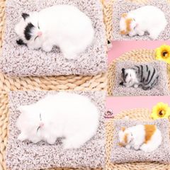 Gấu Bông Hút Mùi Than Hoạt Tính Cún Đôi Xám 28x20cm - Phụ Kiện Trang Trí Ô Tô và Bàn Làm Việc, Khử Mùi Hiệu Quả