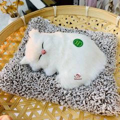 Tấm Tã Lót Than Hoạt Tính Absorb Charcoal Cho Chó Mèo - Khử Mùi, Lọc Không Khí, Trang Trí Ô Tô