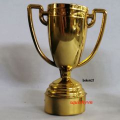 Cúp bóng đá mạ vàng cao cấp - Giải thưởng thể thao ý nghĩa, Cúp thể thao giá rẻ cho mọi giải đấu an toàn và chất lượng.