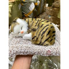 Gấu Bông Chó Mèo Than Hoạt Tính Khử Mùi Ô Tô - Đồ Trang Trí Dễ Thương, Sản Phẩm Thú Cưng Hút Ẩm, Lọc Không Khí Trong Lành