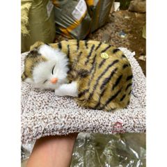 Gấu Bông Chó Mèo Than Hoạt Tính Khử Mùi Ô Tô - Đồ Trang Trí Dễ Thương, Sản Phẩm Thú Cưng Hút Ẩm, Lọc Không Khí Trong Lành