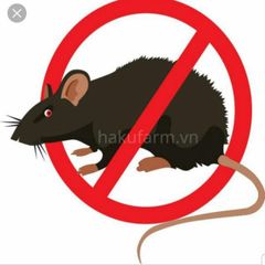 Máy Đuổi Côn Trùng Pest Reject Bằng Sóng Siêu Âm - An Toàn, Không Sát Sinh, Hiệu Quả Tới 80m² Cho Gia Đình