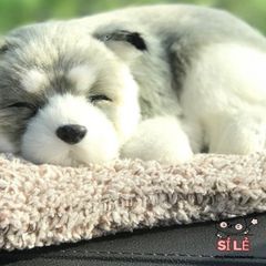 Thú Bông Cún Xám Trắng Lọc Không Khí Than Hoạt Tính - Đồ Trang Trí Xe Hơi Ô Tô Giống Thật 99% Khử Mùi Hiệu Quả