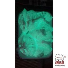 Bột Dạ Quang Xanh Lá - Trang Trí Handmade Phát Sáng Độc Đáo Cho Quán Bar, Karaoke, Đồ Thủ Công Sáng Tạo 10g