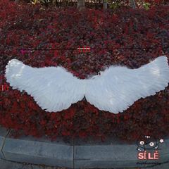Cánh Thiên Thần Trắng Cosplay - Đồ Hóa Trang Lễ Hội Cho Trẻ Em Và Người Lớn, Dùng Trong Tiệc Giáng Sinh, Chụp Ảnh Sự Kiện