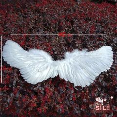 Đôi Cánh Thiên Thần Lông Vũ Đẹp - Phụ Kiện Hóa Trang Cosplay Nhiều Màu Sắc Cho Trẻ Em và Người Lớn