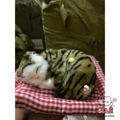 Đồ trang trí chó mèo than hoạt tính phát tiếng kêu - Khử mùi ô tô, quà tặng dễ thương cho trẻ em và trang trí nhà cửa