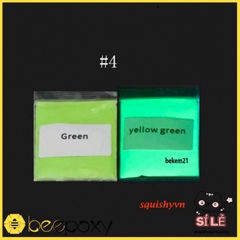Bột Phát Sáng Dạ Quang 10g - Màu Sắc Rực Rỡ Cho Đêm Tối, Hấp Thụ Ánh Sáng, Trang Trí Đồ Vật, DIY Sáng Tạo