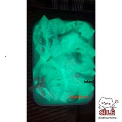 Bột Dạ Quang Màu Xanh Lá 10g - Chất Liệu Handmade Phát Sáng Độc Đáo, Trang Trí Quán Bar, Karaoke ấn Tượng