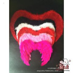 Cánh Thiên Thần và Cánh Ác Quỷ Lông Vũ Cho Cosplay Halloween - Phụ Kiện Chụp Ảnh Thời Trang Cho Trẻ Em và Người Lớn