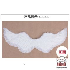Cánh Thiên Thần và Cánh Ác Quỷ Lông Vũ Cho Cosplay Halloween - Phụ Kiện Chụp Ảnh Thời Trang Cho Trẻ Em và Người Lớn