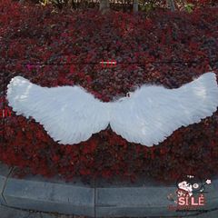 Cánh Thiên Thần và Cánh Ác Quỷ Lông Vũ Cho Cosplay Halloween - Phụ Kiện Chụp Ảnh Thời Trang Cho Trẻ Em và Người Lớn