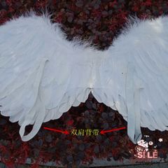 Cánh Thiên Thần và Cánh Ác Quỷ Lông Vũ Cho Cosplay Halloween - Phụ Kiện Chụp Ảnh Thời Trang Cho Trẻ Em và Người Lớn