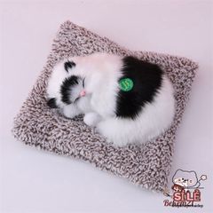 Bình lọc nước cho thú cưng - Lõi than hoạt tính khử mùi, trang trí phòng và quà tặng dễ thương cho chó mèo
