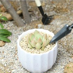 Bộ 3 Cuốc Xẻng Mini Đa Năng - Dụng Cụ Làm Vườn & Chăm Sóc Cây Cảnh - Phượt Tiện Lợi, Thiết Kế Gọn Nhẹ
