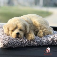Búp Bê Chú Chó Gỗ Than Hoạt Tính - Trang Trí Nội Thất Xe Hơi & Quà Tặng Đáng Yêu Cho Trẻ Em - Kích Thước 24x20cm