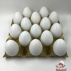 Bộ 5 Trứng Gà Giả Bằng Nhựa Trang Trí Lễ Phục Sinh - Đồ Dùng Nghệ Thuật Thú Cưng An Toàn, Kích Thước 5x3 cm