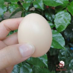 Bộ 5 Trứng Gà Giả Bằng Nhựa Trang Trí Lễ Phục Sinh - Đồ Dùng Nghệ Thuật Thú Cưng An Toàn, Kích Thước 5x3 cm