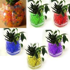 Bộ 10000 Hạt Nở Siêu Thấm Trang Trí Nhiều Màu Sắc - Phụ Kiện Trồng Cây Hoa & Decor Nhà Cửa