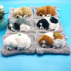Thú Bông Chó Mèo Than Hoạt Tính Trang Trí Ô Tô - Cún Lưng Đen Giúp Khử Mùi, Hút Ẩm 28x20cm