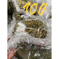 Thú Bông Chó Mèo Than Hoạt Tính - Trang Trí Ô Tô, Bàn Làm Việc, Khử Mùi, Thiết Kế Dễ Thương, Giúp Không Gian Trong Lành
