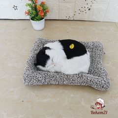 Gấu Bông Chó Mèo Có Tiếng - Nhồi Than Hoạt Tính Khử Mùi, Trang Trí Xe Ô Tô, Phòng Ngủ, Quà Tặng Cho Trẻ Em, Kích Thước 28x20cm