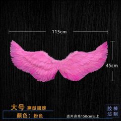 Đôi Cánh Thiên Thần Lông Vũ Màu Sắc - Đạo Cụ Hóa Trang Halloween Cho Trẻ Em và Người Lớn, Cosplay Độc Đáo