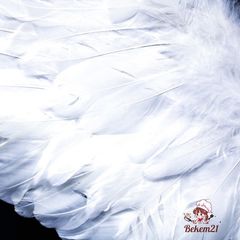 Cánh Thiên Thần Hóa Trang Trẻ Em - Cánh Vũ Lông Nhẹ Để Biểu Diễn, Cosplay và Tiệc Tùng - Màu Trắng, Đen, Đỏ, Hồng