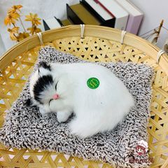 Tấm Tã Lót Than Hoạt Tính Absorb Charcoal Cho Chó Mèo - Khử Mùi Xe Hơi, Lông Mượt, Đáng Yêu, Siêu Bền